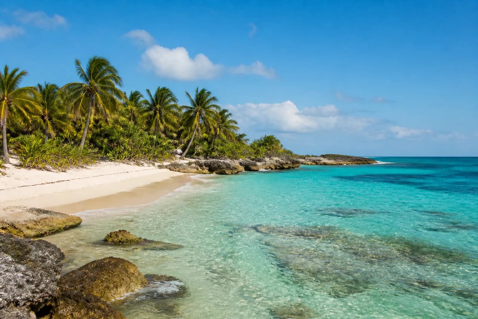 Riviera Maya palm-lined beach and turquoise Caribbean water