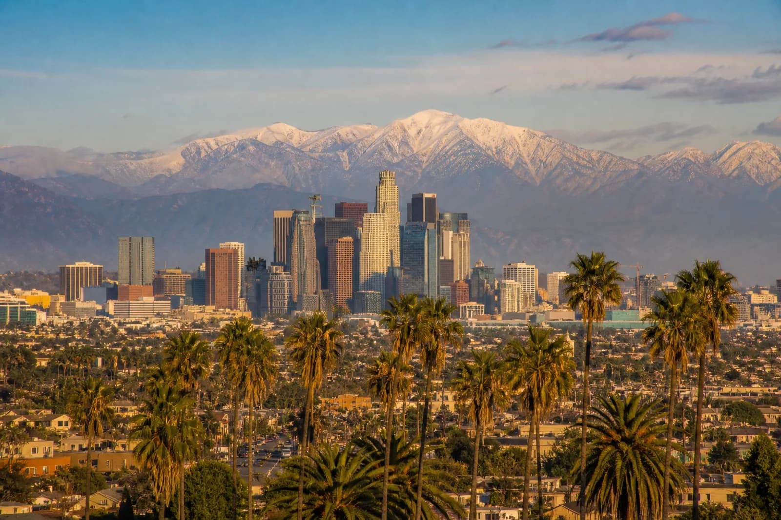 Los Angeles skyline framed by palm trees with the San Gabriel Mountains beyond