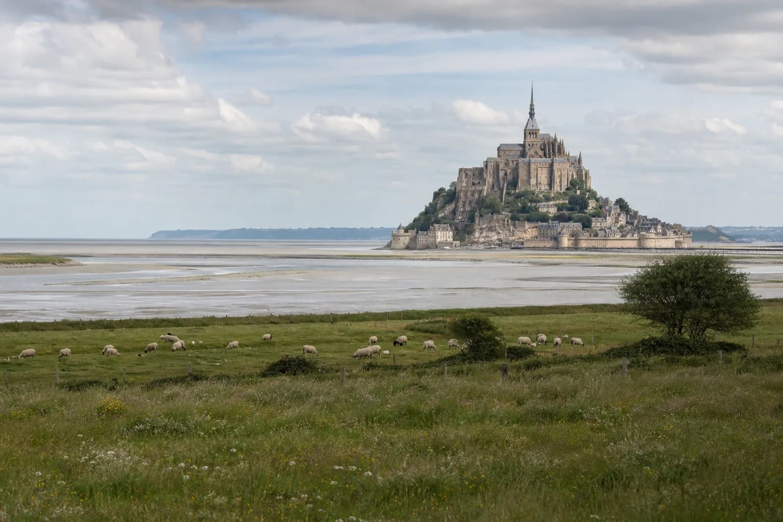 Mont Saint-Michel rising above Normandy tidal flats and green pasture