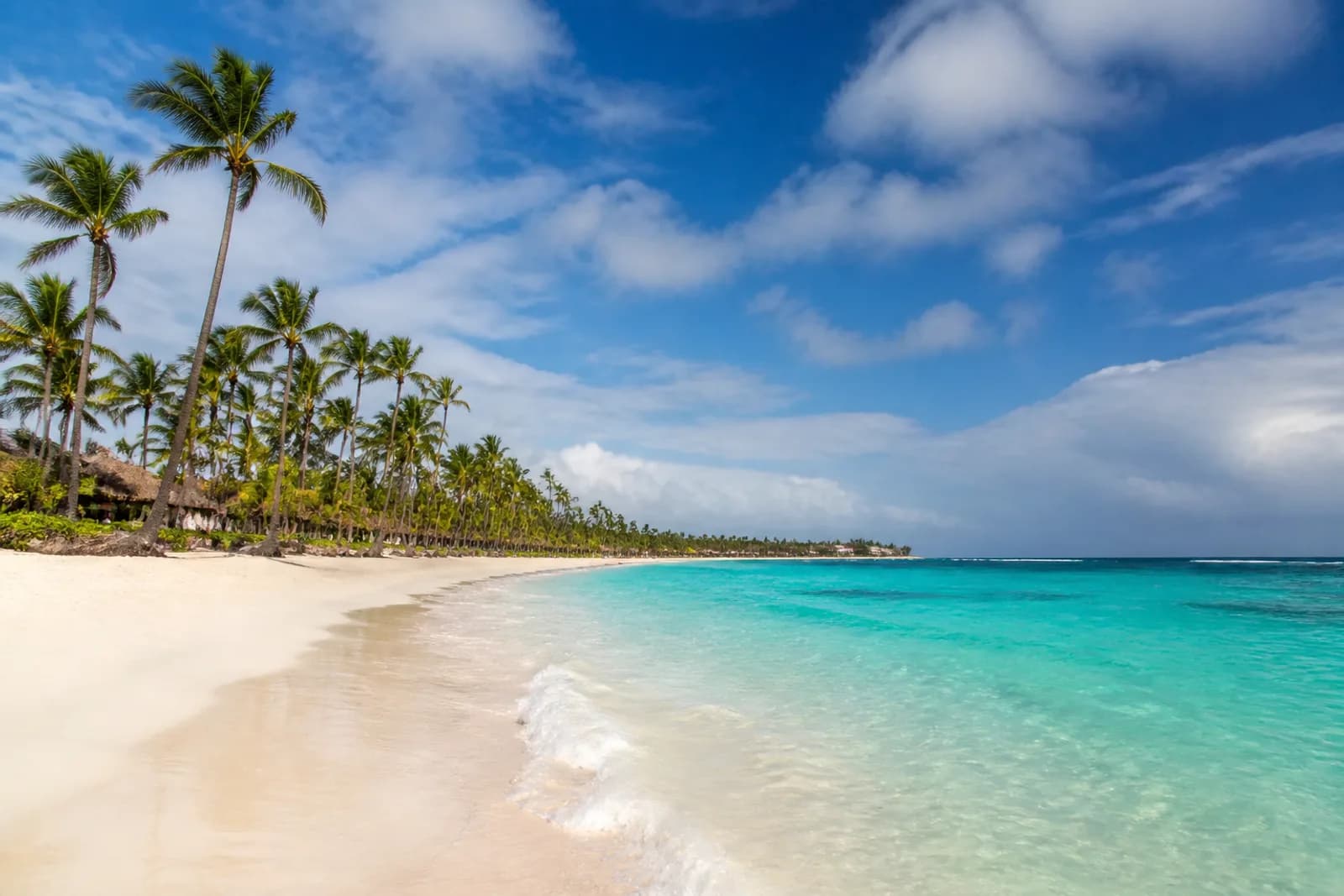 Punta Cana palms and white sand beside clear turquoise Caribbean water