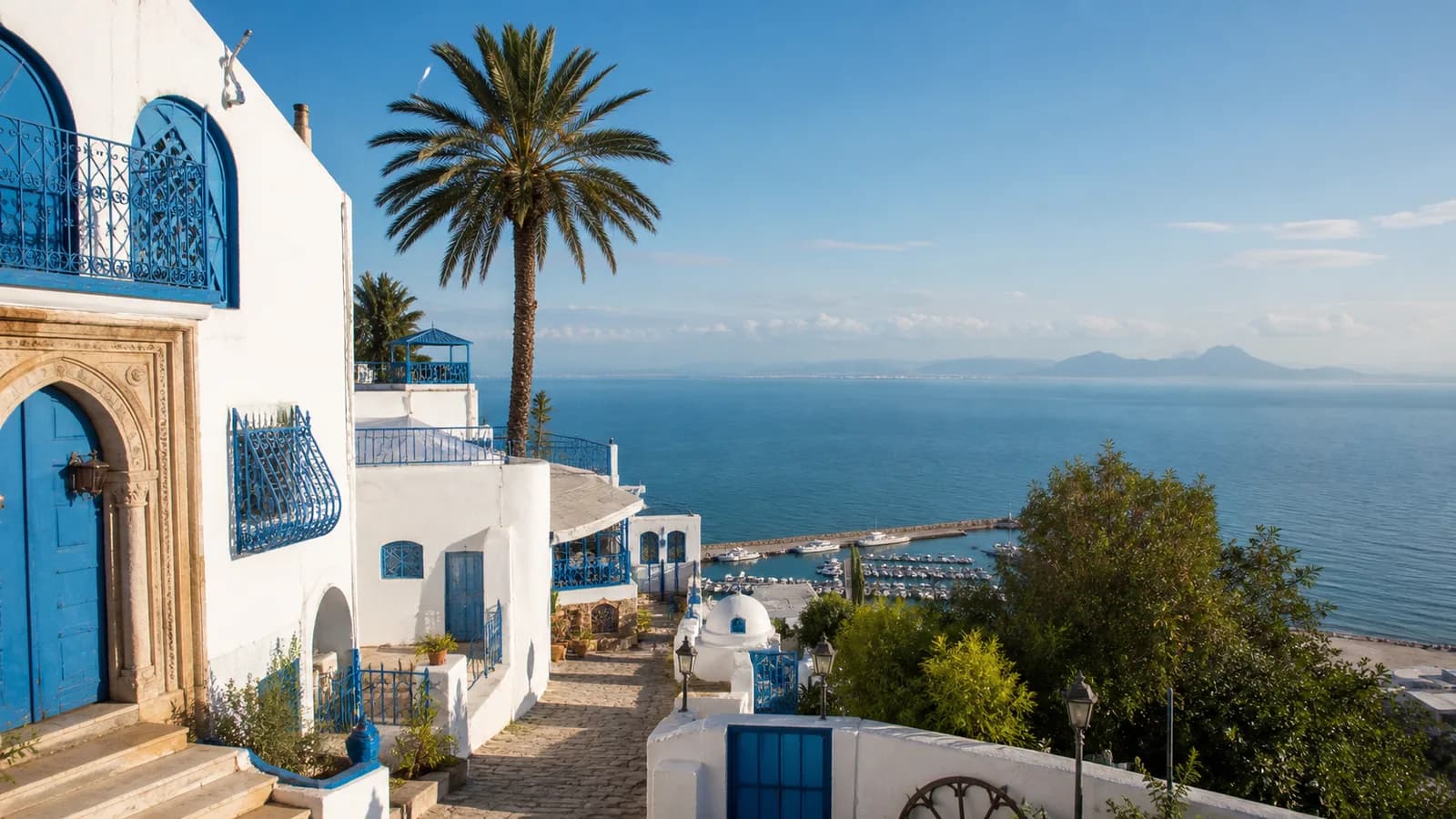 Sidi Bou Said whitewashed buildings and blue doors above the Gulf of Tunis
